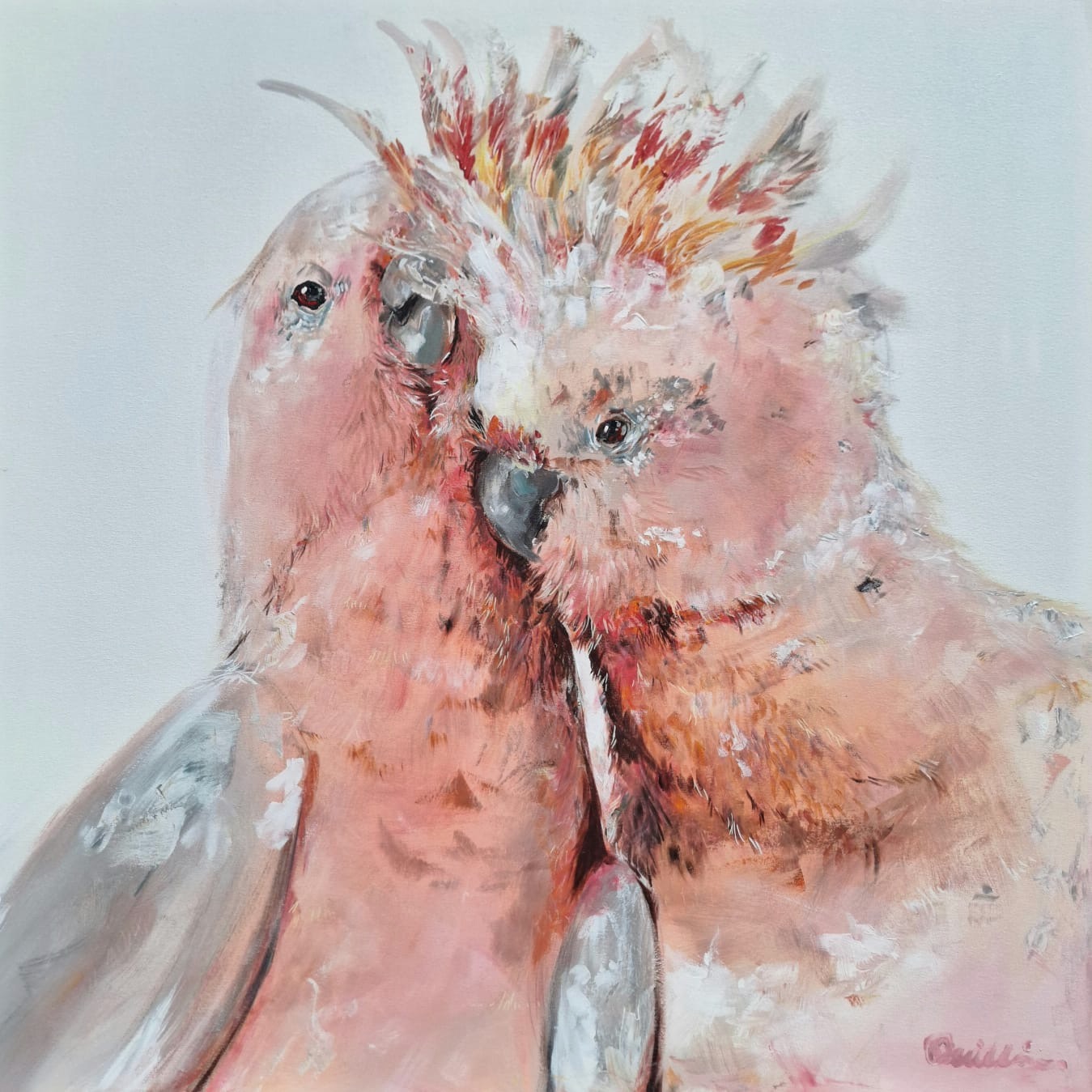 'Pink Cockatoos' - SOLD - acrylic on canvas - painting 96 cm square - not framed