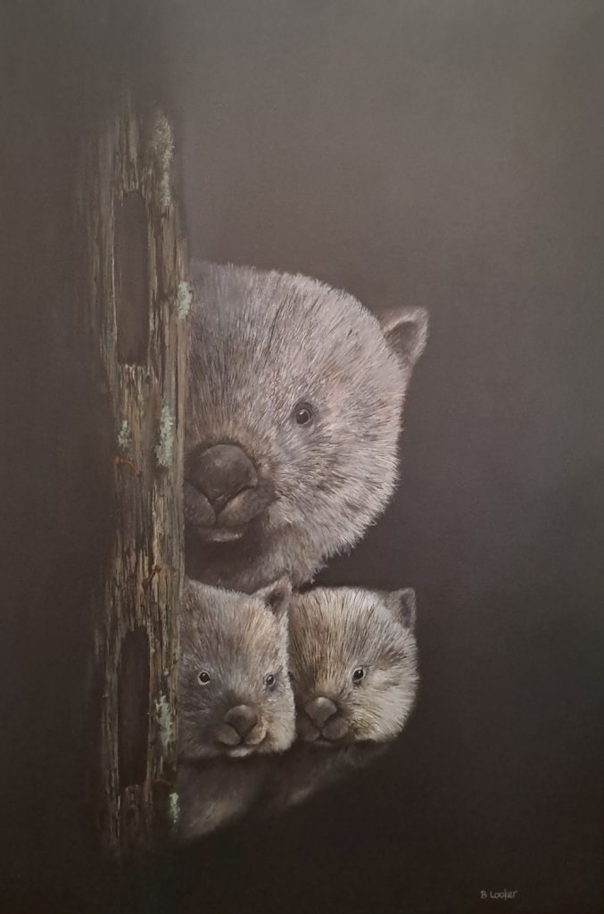 'Can You See' - oil on canvas - painting 91 cm H x 61 cm W - not framed