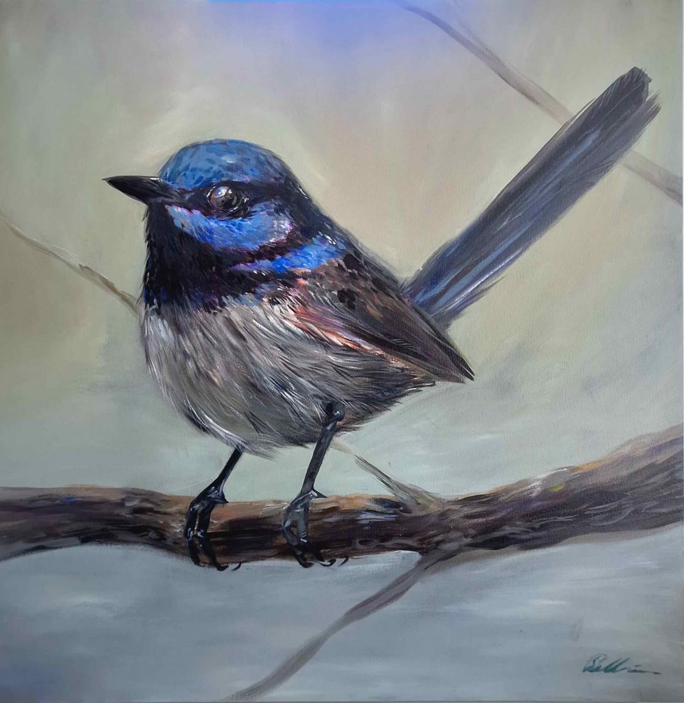 'Superb Fairy Wren' - acrylic on canvas - painting 96 cm square - not framed